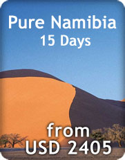 Click to view Pure Namibia Safari info